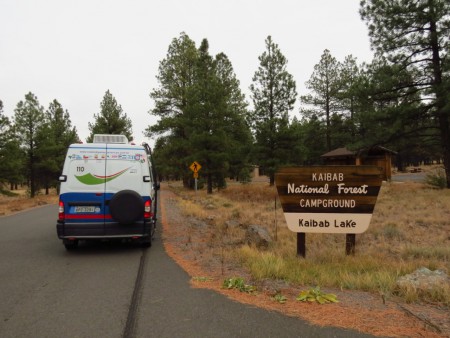National Forest Kaibab Lake